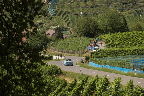 ... durch die Weinberge, vorbei am ...
