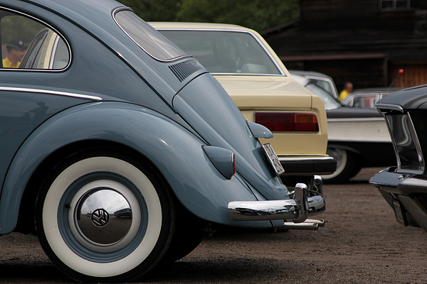 ... ein Käfer neben einem Camarque