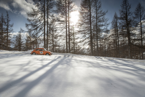 … ein Käfer gewann mit Leichtigkeit, …