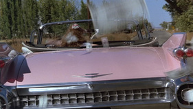 eine Viertelmillion USD beginnt sich hier zu verflüchtigen - im Film "Pink Cadillac" von 1989