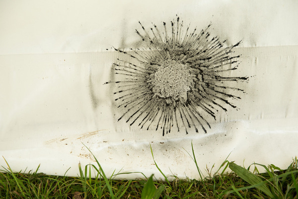 einmal Kunst am Zelt eines Fiat Abarth 1000TC.