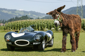 Ferrari 250 GT Lusso (1962) – Bildergeschichte Rückblick 2025 – 365 Tage in 36.5 Bildern