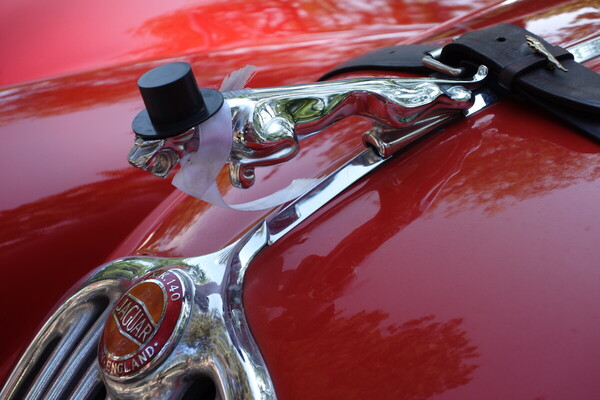 ...mit liebenswertem Detail - Vienna Classic Days 2024