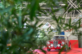 … nein auch fein restaurierte Classic-Cars …