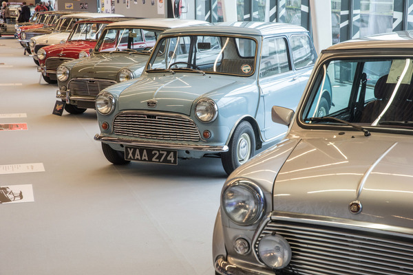 nein, teilweise im Rudel und …