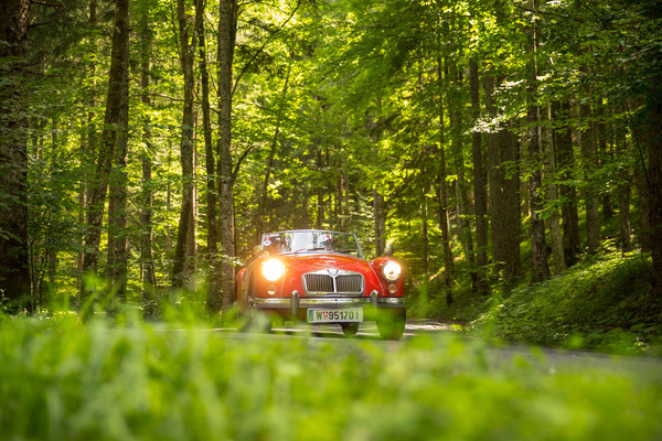 … umrandeten die Strassen und …