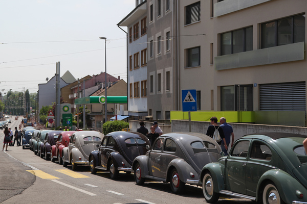 … und 70 Jahre später hat sich zwar manches an der Szenerie geändert, die Käfer sehen aber immer noch (fast) gleich aus.