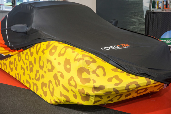 … und zum anderen ein Autopyjama im Leoparden-Look!