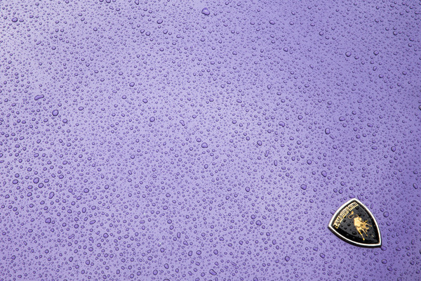 ...verstarb am 13. März dieses Jahres.