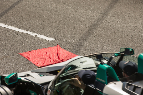 … was dann auch gleich überfahren wurde.