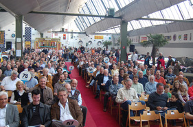 Oldtimer Galerie Toffen (Oldtimer-Händler & Spezialist)
