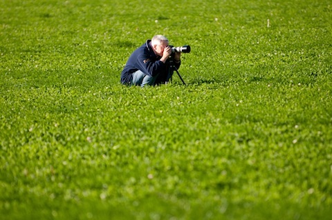 Fotografierend auf grüner Wiese