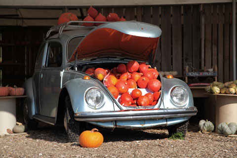 VW Käfer (1302) mit Kürbissen beladen