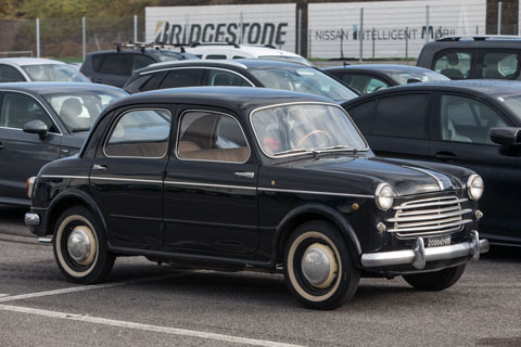 Fiat 1100-103 von 1955 (© Daniel Reinhard)