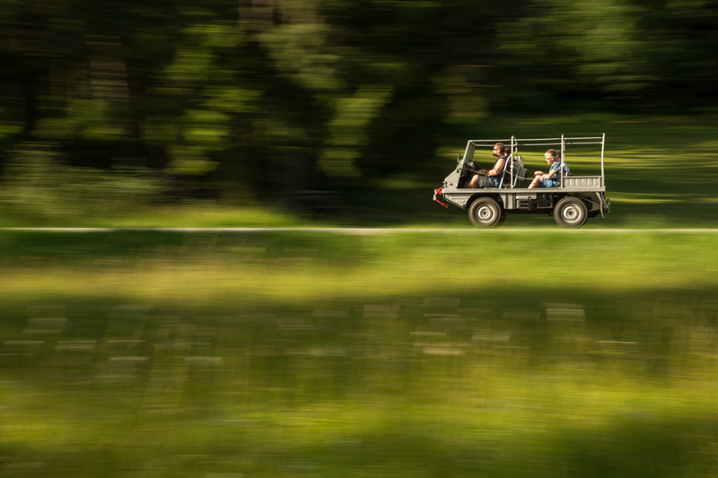 Haflinger mit Familie (© Daniel Reinhard)