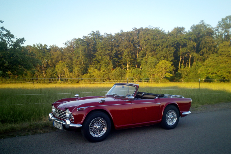 Artikelbild James Bond und Pommes Frites