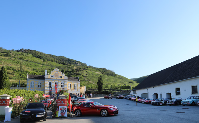 Alfa Wachau Classic - Das Teilnehmerfeld (© Silke Tauert / www.fotofeee-st.de)
