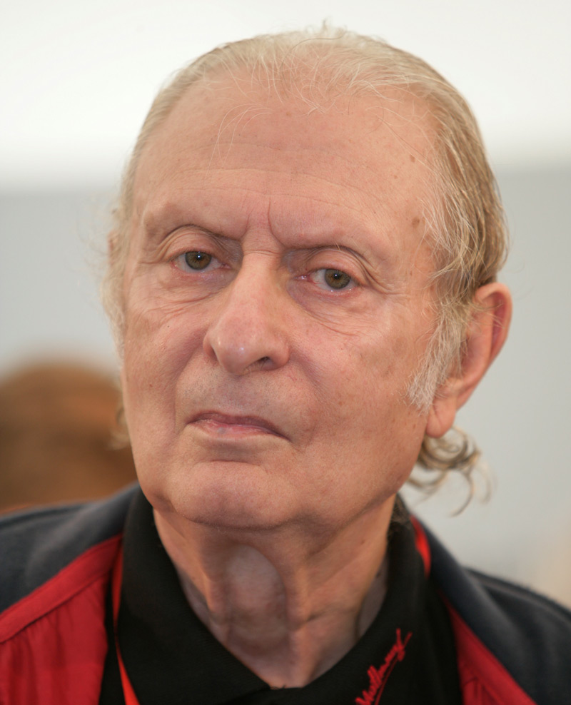 Nino Vaccarella an der Ennstal-Classic 2008 (© Daniel Reinhard)