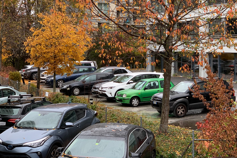 Artikelbild Die Oldtimer der Zukunft werden wohl weiss, grau oder schwarz sein