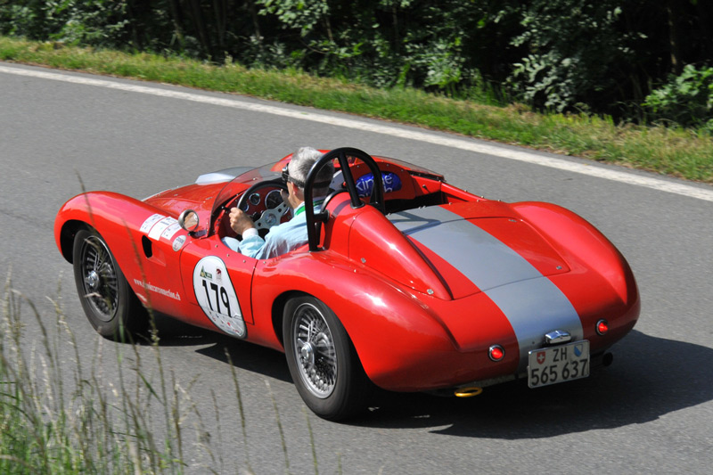 Devin (© Josef Mayrhofer)