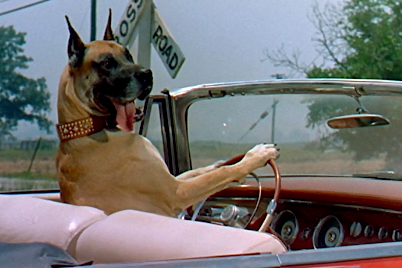 Chrysler New Yorker Convertible Coupe (1956) – Szene aus dem Film "Alles um Anita"