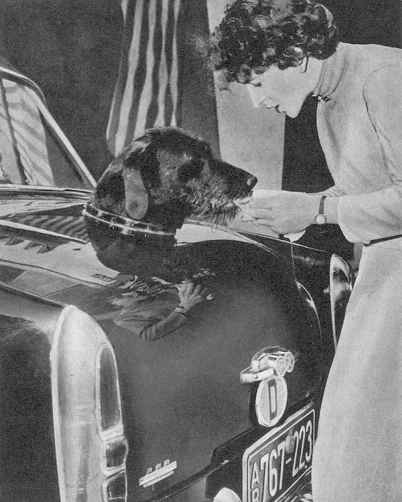 Ford Taunus 15 M mit Hundeluke