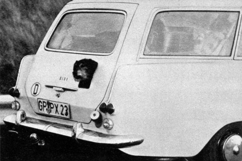 Opel Rekord P2 Caravan mit Hundeluke