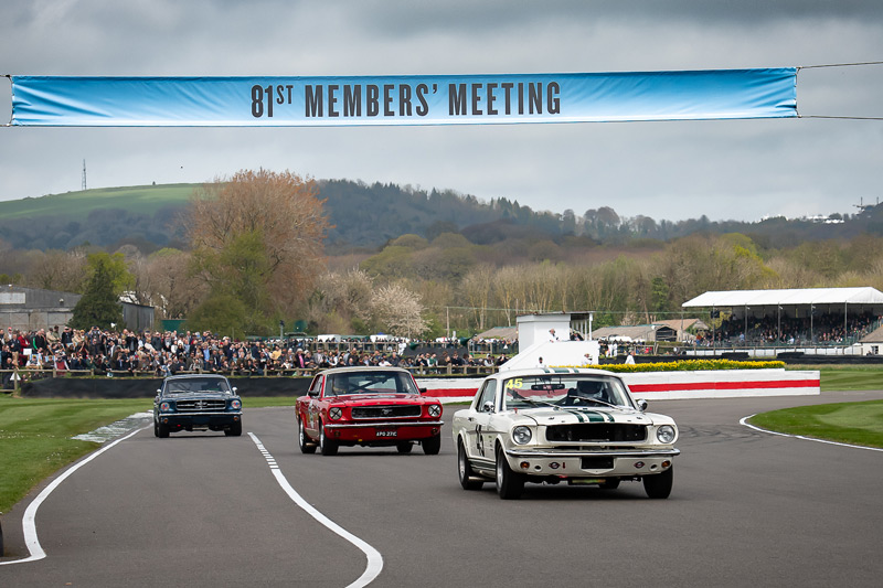 Artikelbild 60 Jahre Mustang am 81. MM