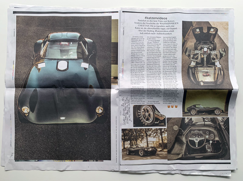 Radical Mag Newspaper November 2024 - Cheetah