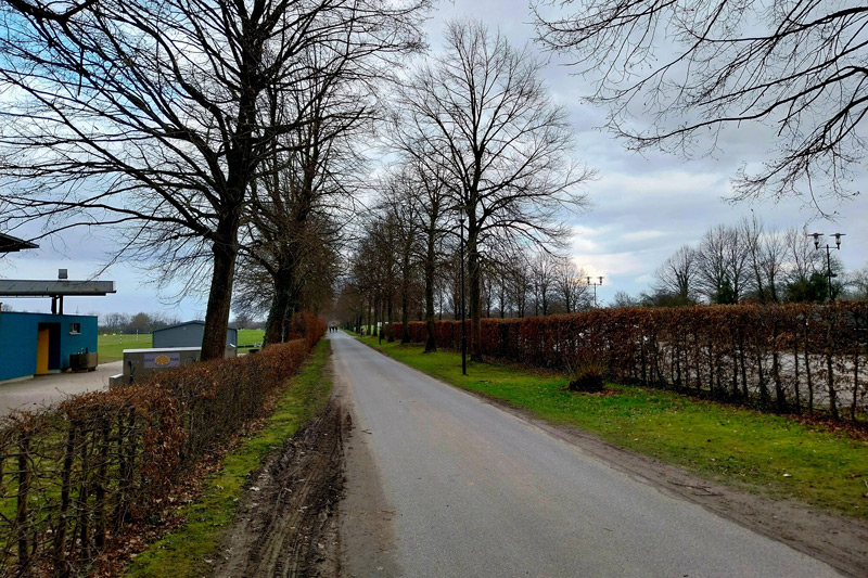 Der künftige Rundkurs führt über diese Allee durch das Golfgelaende (© Wolfram Hamann)
