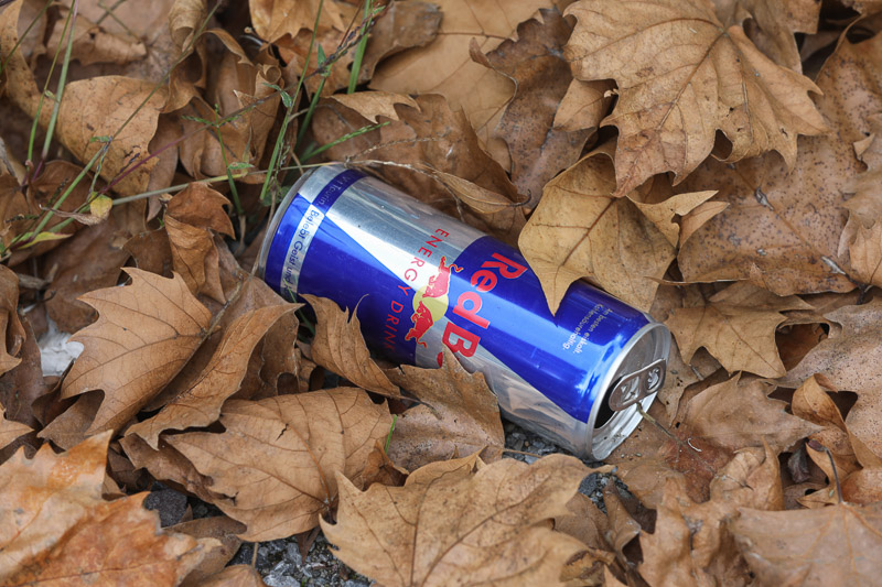 Verleiht Flügel (© Bruno von Rotz)