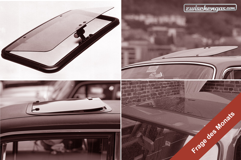 Artikelbild Geteilte Meinungen beim Sonnendach (Frage des Monats)