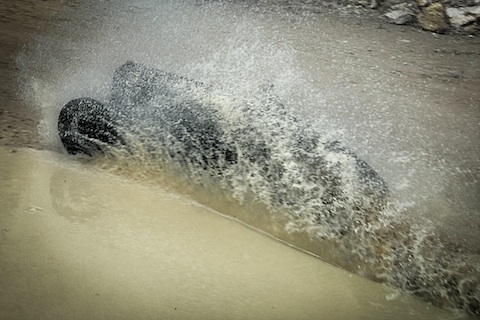 B.N.C 527 1927 (© Daniel Reinhard)