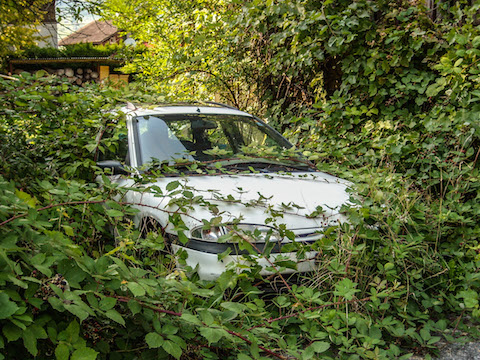 Artikelbild Bald bin ich ein Oldtimer mit toller Patina