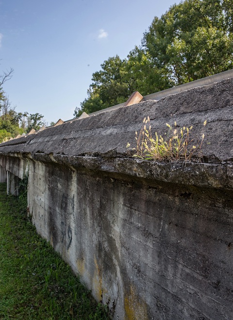Steilwand von Monzda 2014 - noch ist die Patina zu sehen