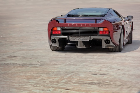 Artikelbild Wird die Raubkatze unterschätzt oder gar ignoriert?