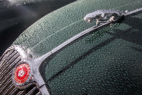 Saalbach Classic im Regen - Jaguar XK 120 (© Daniel Reinhard)