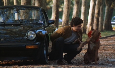 Porsche 911 SC 3.0 im Film Flashdance - mit Hund