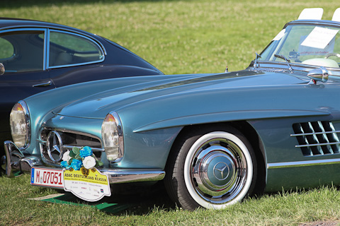 Kotflügel eines Mercedes-Benz 300 SL am Oldtimer Treffen Baden-Baden 2016