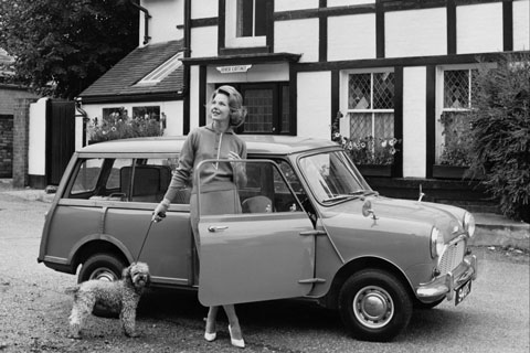 Mini Countryman und Hund