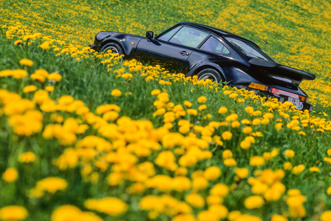 Porsche Turbo (933) von 1986 (© Daniel Reinhard)