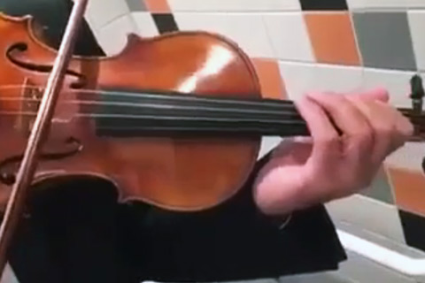 Violine macht auf Formel 1