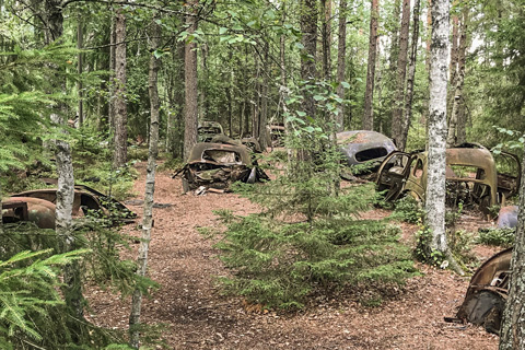 Artikelbild Kulturerbe oder Schrott? Verwunschene Autos in Kyrkö Mosse