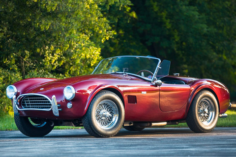 Artikelbild Die letzte Cobra