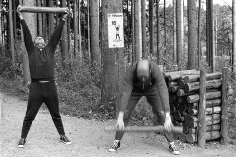 Artikelbild Fit am Steuer - trimm Dich fit