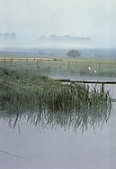 Mercedes-Benz T-Reihe (S123) - Verkaufsprospekt (1979) - Seite 17 (1979)