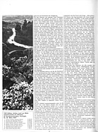 Bild von Powerslide Nr. 4 / 1973 Seite 18