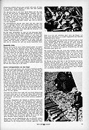 Wir fuhren den Austin-Healey Sprite Mk III - Automobil Illustrierte 22/1964 - Seite 13 Wir fuhren den Austin-Healey Sprite Mk III - Automobil Illustrierte 22/1964 - Seite 13