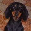 Hier klicken, um Profilbild zu ändern Favicon