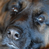 Hier klicken, um Profilbild zu ändern Favicon